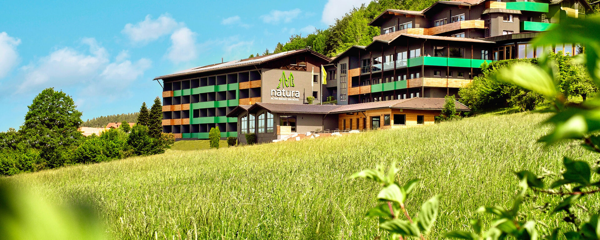 Natura Hotel Bodenmais: Hotelansicht