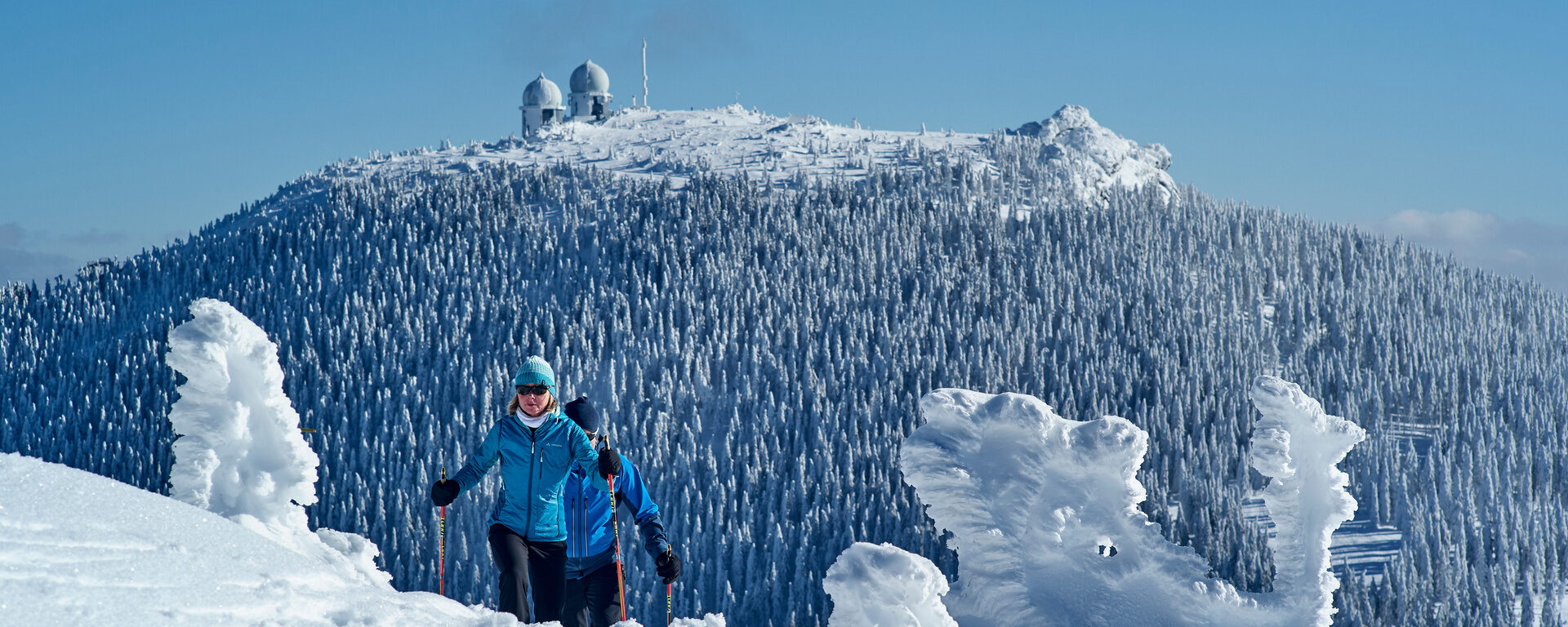 Schneeschuhwanderer durchschreiten eine verschneite Winterlandschaft mit Arbergipfel im Hintergrund